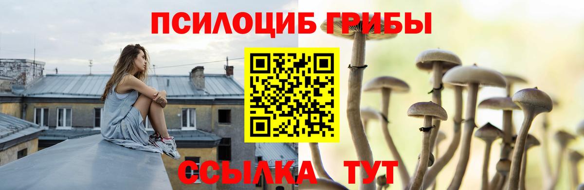 Галлюциногенные грибы GOLDEN TEACHER  Вход с VPN  Киселёвск  Галлюциногенные грибы MAGIC MUSHROOMS 
